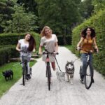 Probeer de nieuwe dogscooters en geniet van het steppen met je hond