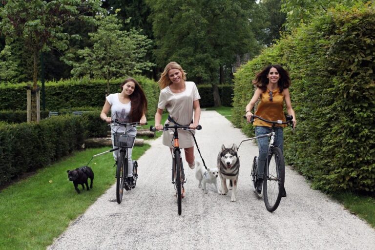 Probeer de nieuwe dogscooters en geniet van het steppen met je hond