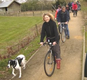 steppen met hond vierkant