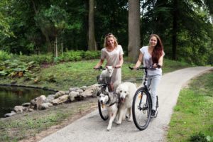 Stress bij honden en Steppen met je hond